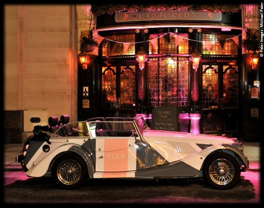 The Pink Lion Launch